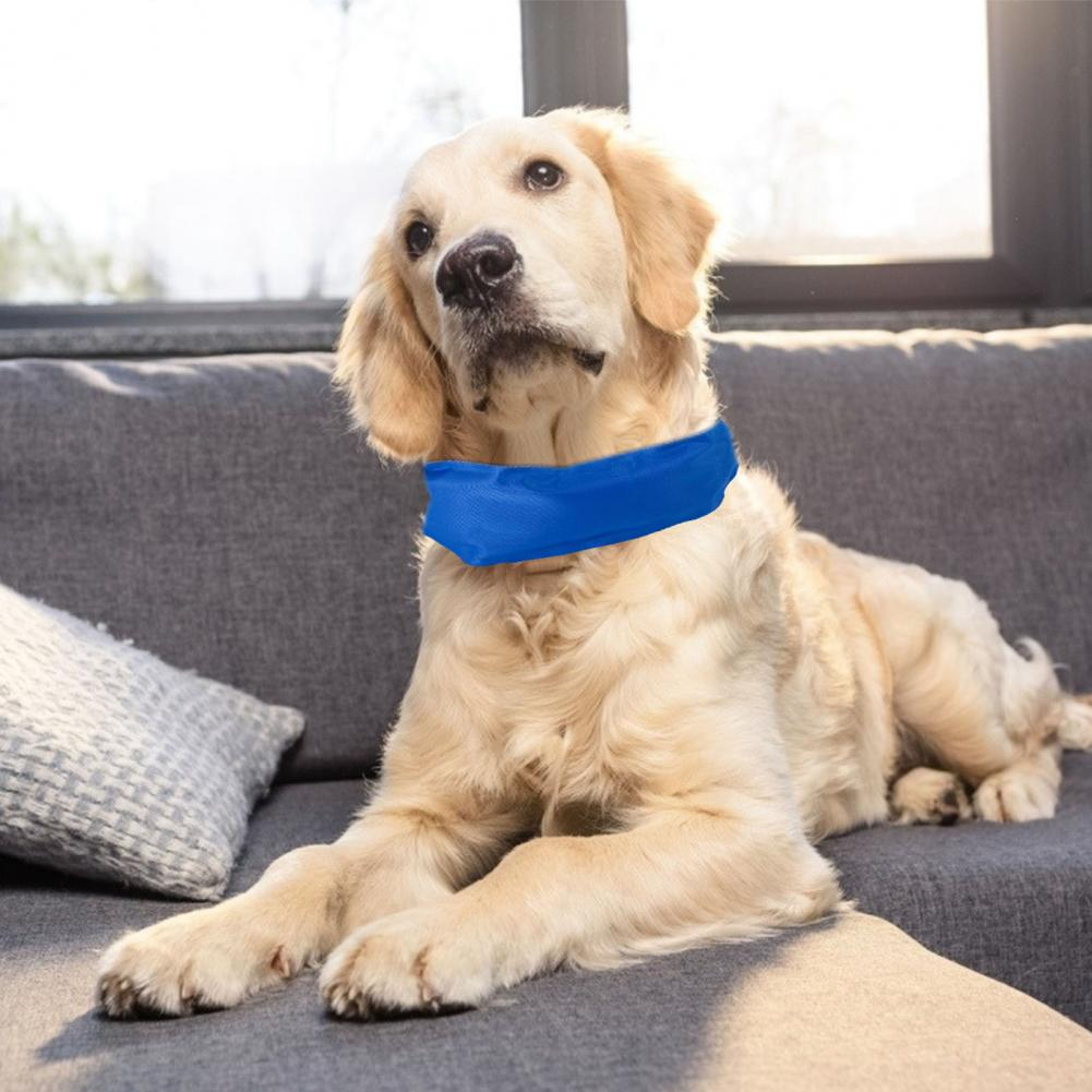 Collare Refrigerante per Cani IcyHound – Comfort Fresco e Benessere Istantaneo