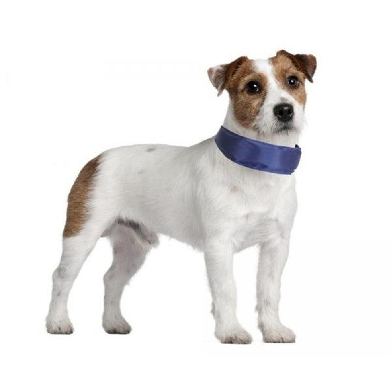 Collare Refrigerante per Cani IcyHound – Comfort Fresco e Benessere Istantaneo